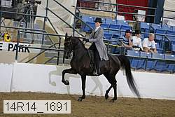 14r14_1691 proof