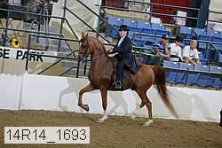 14r14_1693 proof