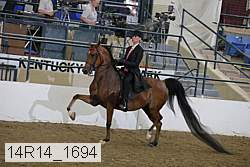 14r14_1694 proof