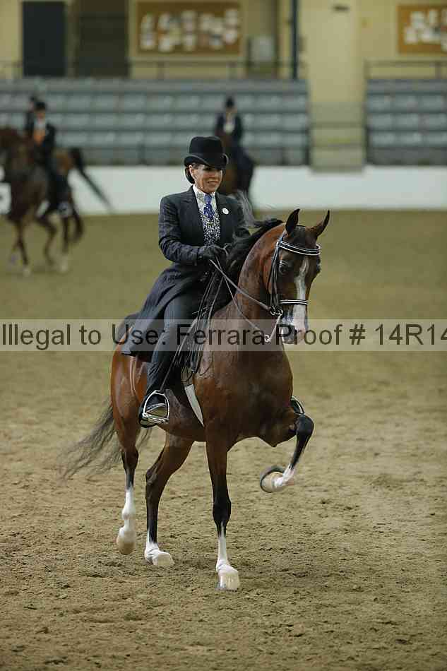 Proof 14r14_1695