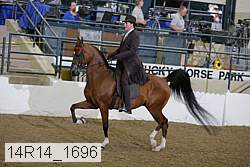14r14_1696 proof