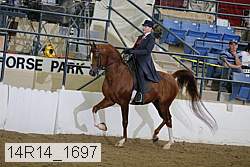 14r14_1697 proof