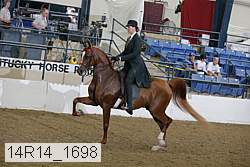 14r14_1698 proof