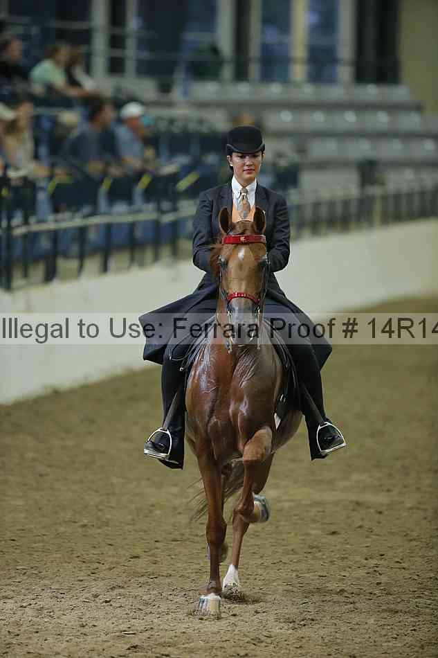 Proof 14r14_1699