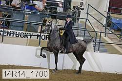 14r14_1700 proof