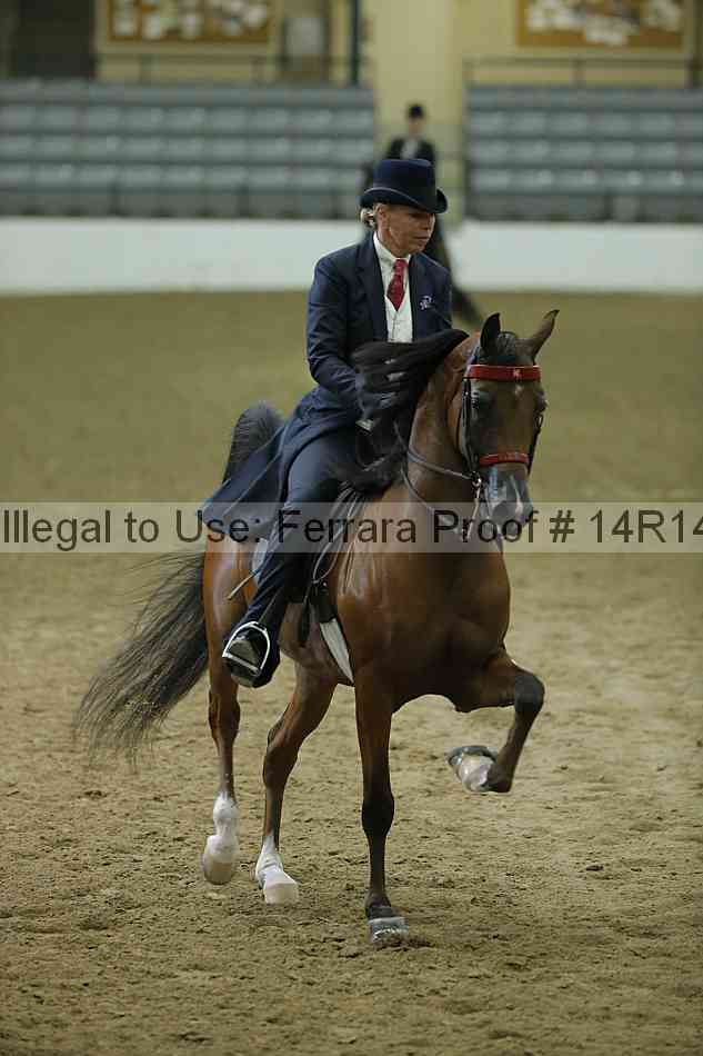 Proof 14r14_1701
