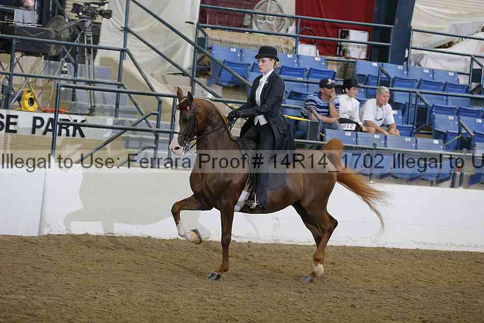 Proof 14r14_1702