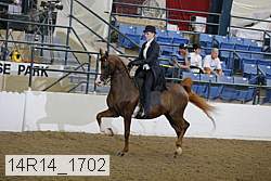 14r14_1702 proof
