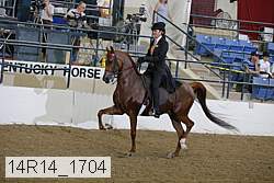 14r14_1704 proof