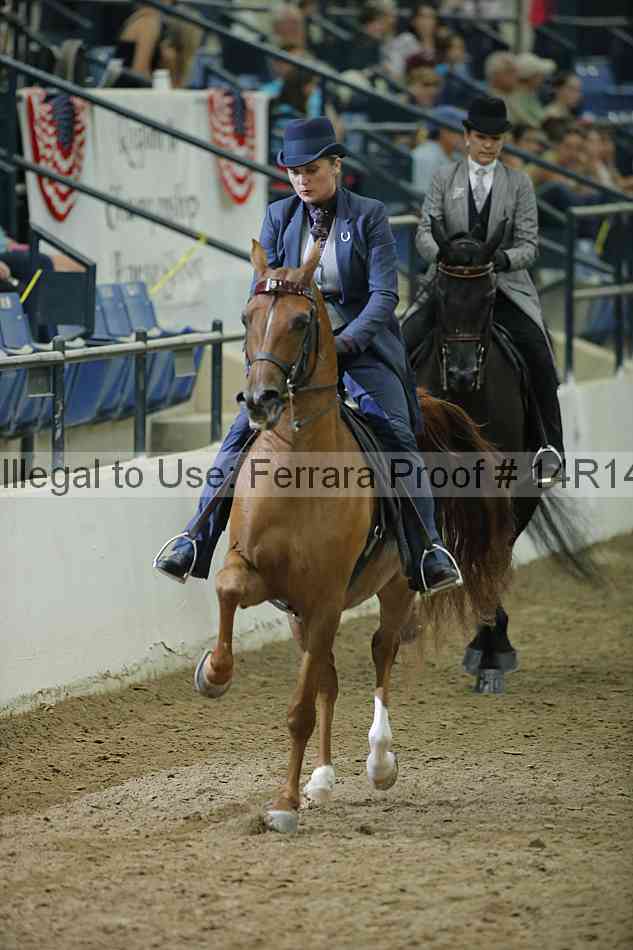 Proof 14r14_1707