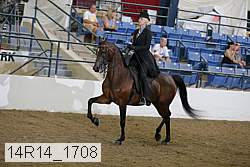 14r14_1708 proof