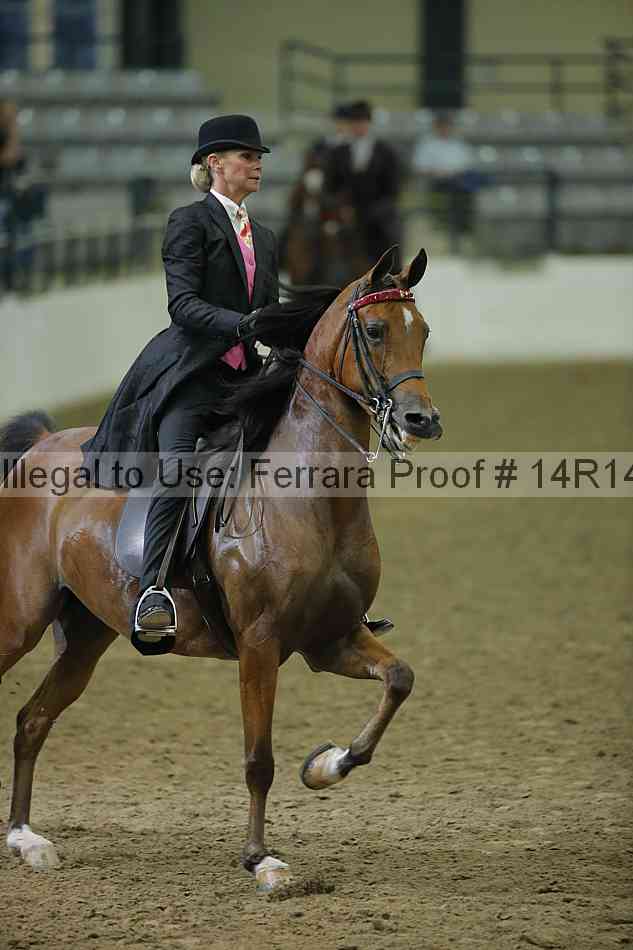 Proof 14r14_1709