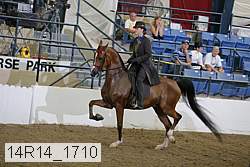 14r14_1710 proof