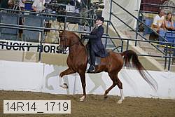 14r14_1719 proof