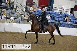 14r14_1722 proof