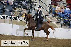 14r14_1723 proof