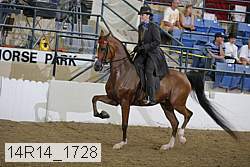 14r14_1728 proof