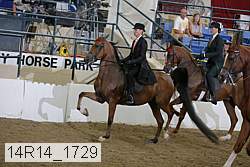 14r14_1729 proof