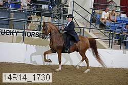 14r14_1730 proof