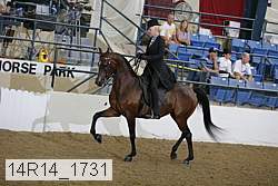 14r14_1731 proof