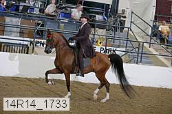 14r14_1733 proof