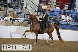 14r14_1734 proof