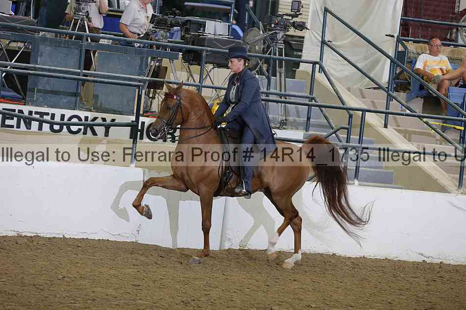 Proof 14r14_1735