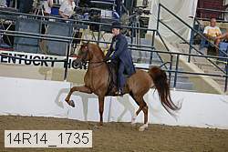 14r14_1735 proof