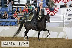 14r14_1736 proof
