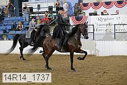 14r14_1737 proof