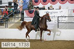 14r14_1738 proof