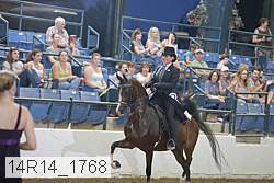 14r14_1768 proof