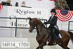 14r14_1769 proof