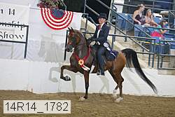 14r14_1782 proof