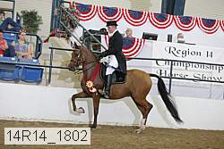 14r14_1802 proof