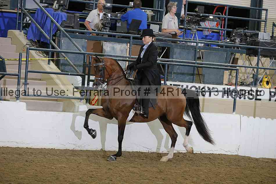 Proof 14r14_1813