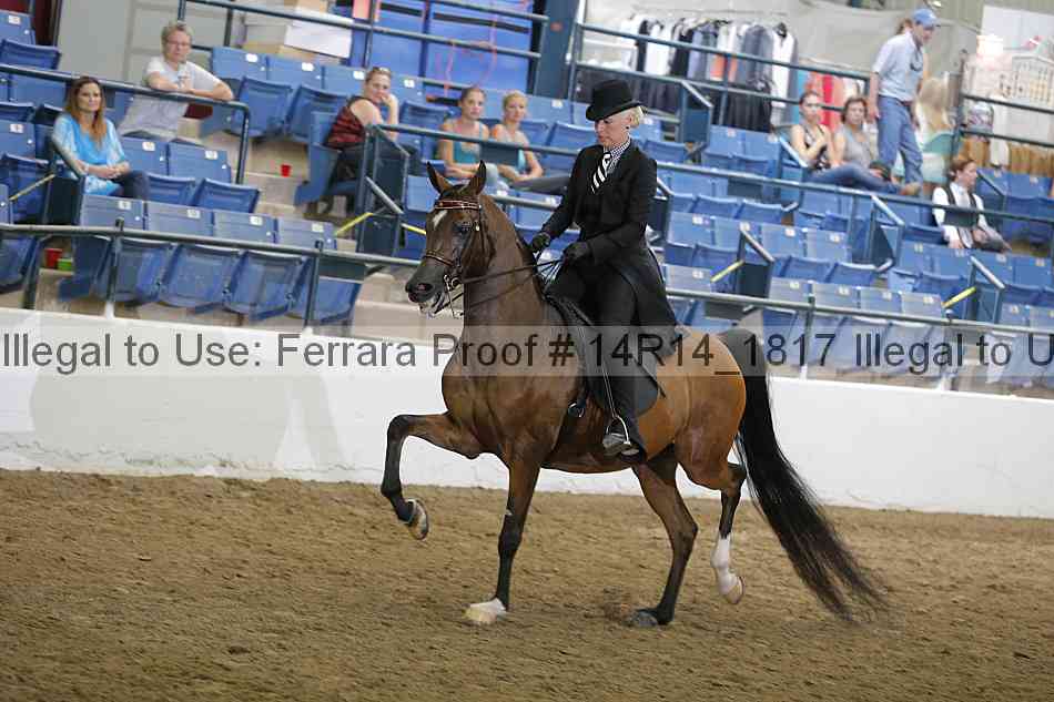 Proof 14r14_1817