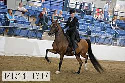 14r14_1817 proof
