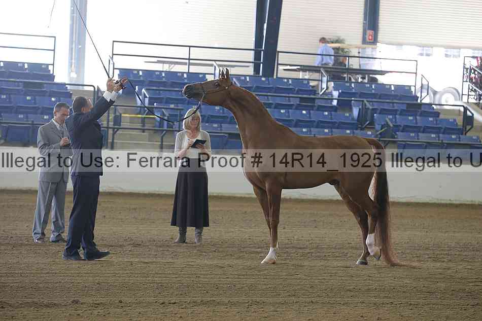 Proof 14r14_1925