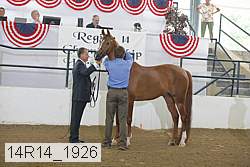 14r14_1926 proof