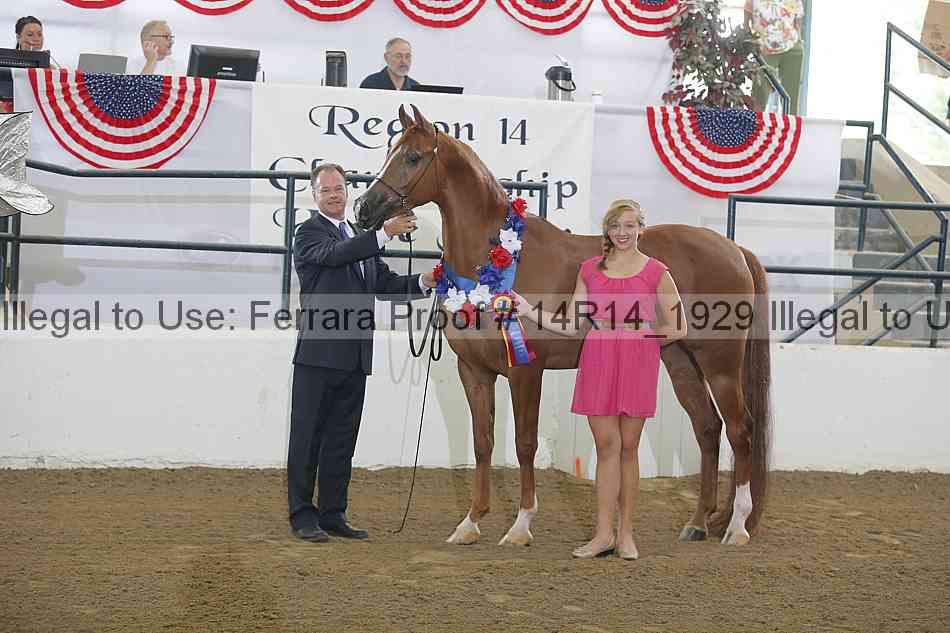 Proof 14r14_1929