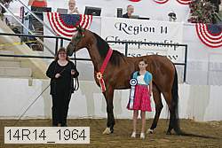 14r14_1964 proof