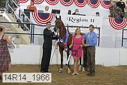14r14_1966 proof