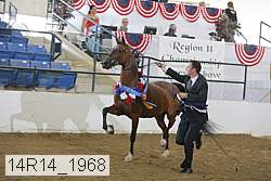 14r14_1968 proof