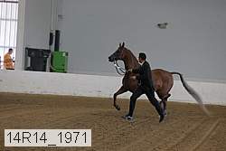14r14_1971 proof