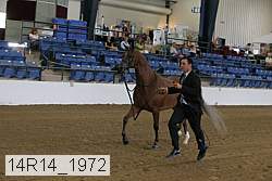 14r14_1972 proof