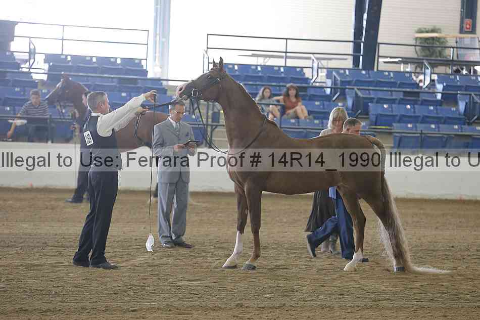 Proof 14r14_1990