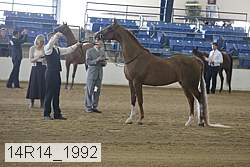 14r14_1992 proof