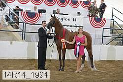 14r14_1994 proof