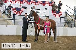 14r14_1995 proof